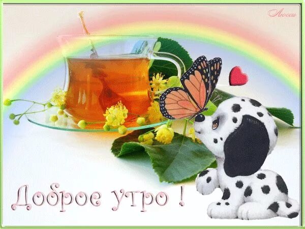 Картинки гифки позитивного утра Доброе утро! ( бабочка на носике у щенка) - анимационные картинки и gif открытки