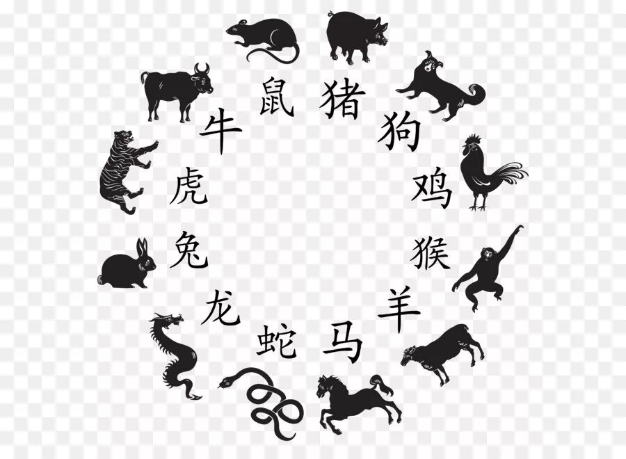 Картинки года животных Cinese Zodiaco Astrologiche Segno