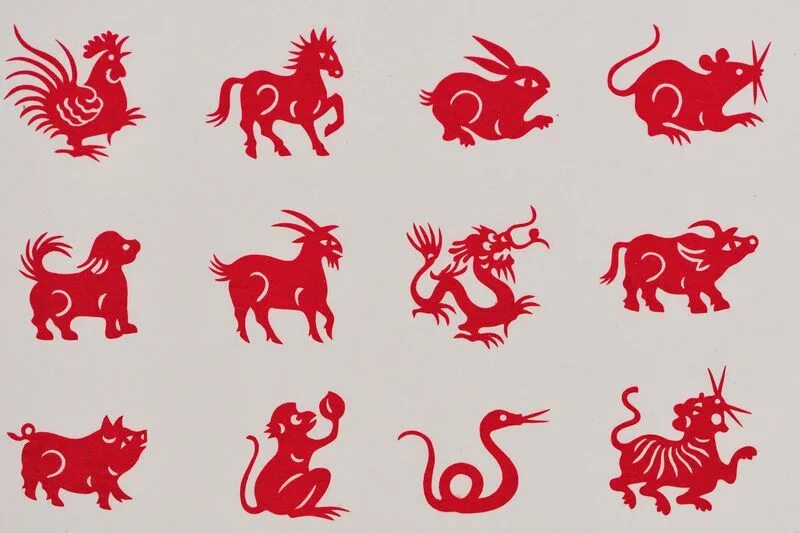 Картинки года животных Pin by Danielle Slentz on China Chinese astrology, Chinese zodiac, Zodiac