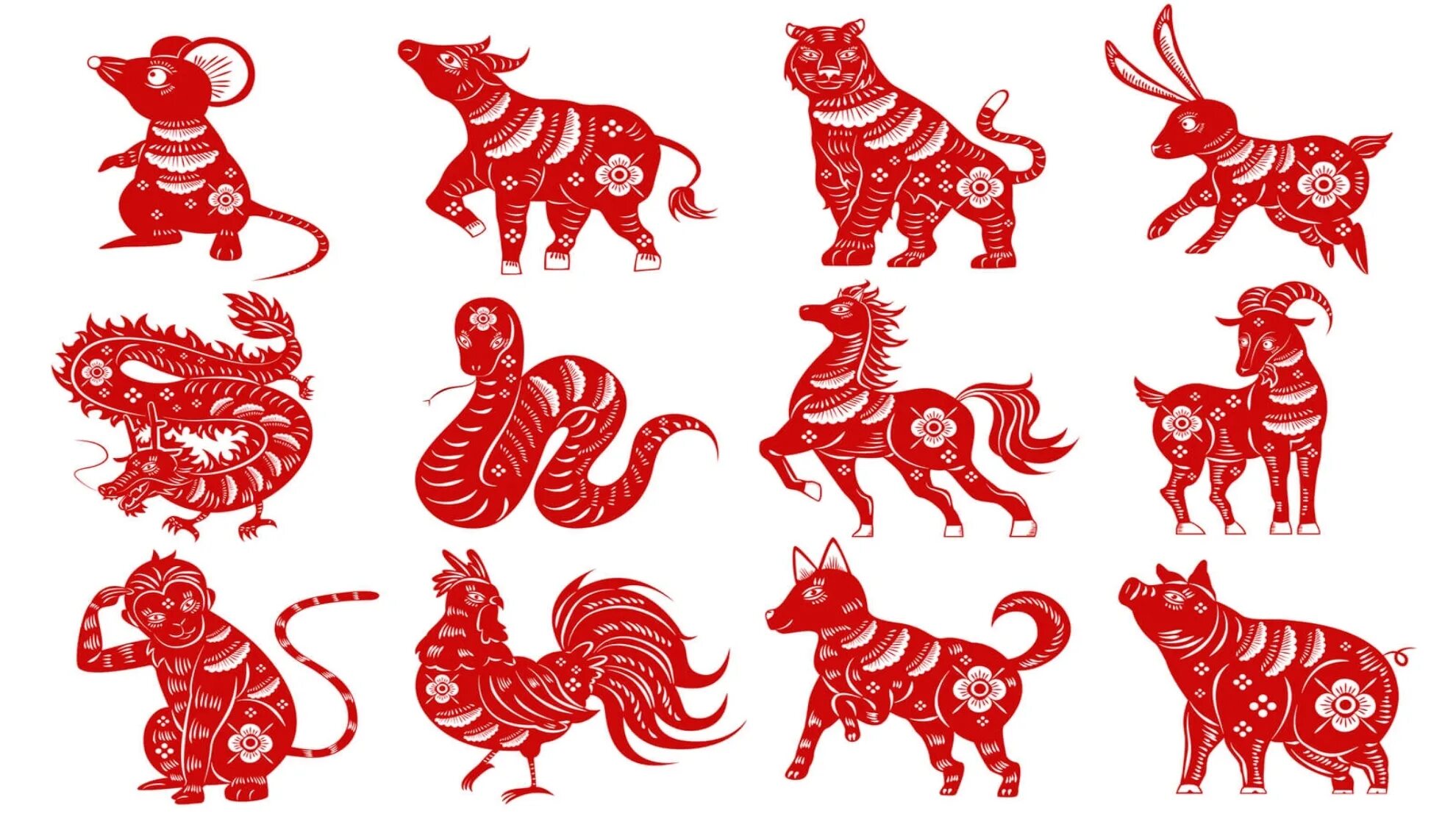 Картинки года животных Chinese Zodiac Signs: What does your animal say about your personality?