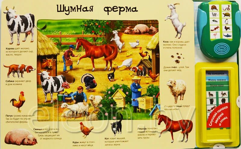 Картинки голоса животных ВСЕ ГОЛОСА ЖИВОТНЫХ". АЗБУКВАРИК. ОБУЧАЮЩАЯ КНИГА ДЛЯ ДЕТЕЙ. ISBN 978-5-402-0034