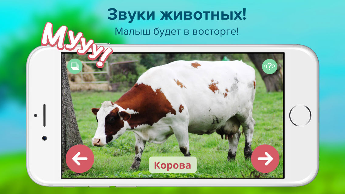 Картинки голоса животных Кто тут? Мир животных для малышей, развивающие карточки + звуки зверей детям for