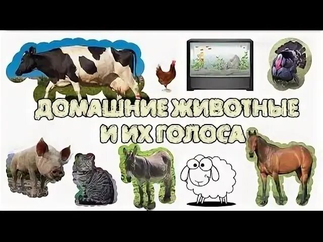 Картинки голоса животных Животные их голоса - найдено 90 картинок