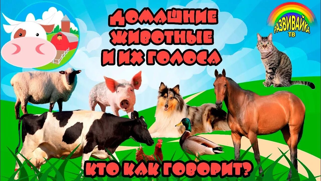Картинки голоса животных Домашние Животные и их голоса. Учим животных. Слушаем звуки. Развивающие мультик
