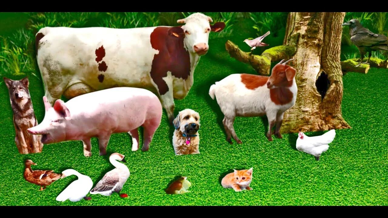 Картинки голоса животных говорят животные 3 / (голоса животных) / Talking animals cartoon - YouTube