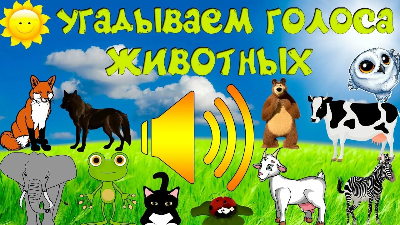 Картинки голоса животных УГАДАЙ ГОЛОС ЖИВОТНОГО? РАЗВИВАЮЩИЕ МУЛЬТИКИ ДЛЯ ДЕТЕЙ! #мультики #детишки #звез