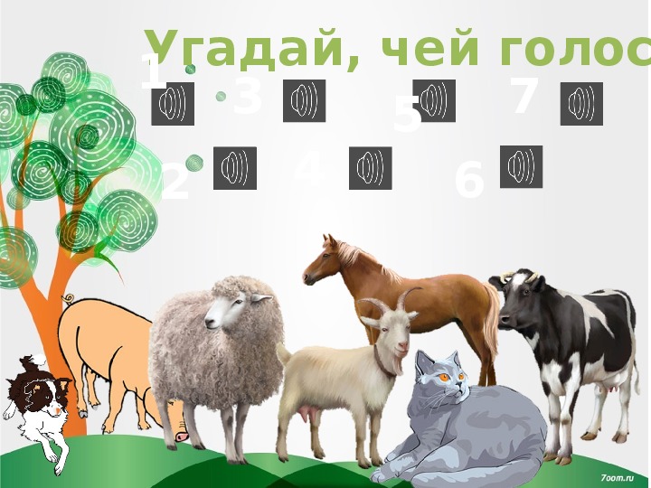 Картинки голоса животных Презентация к занятию по развитию речи