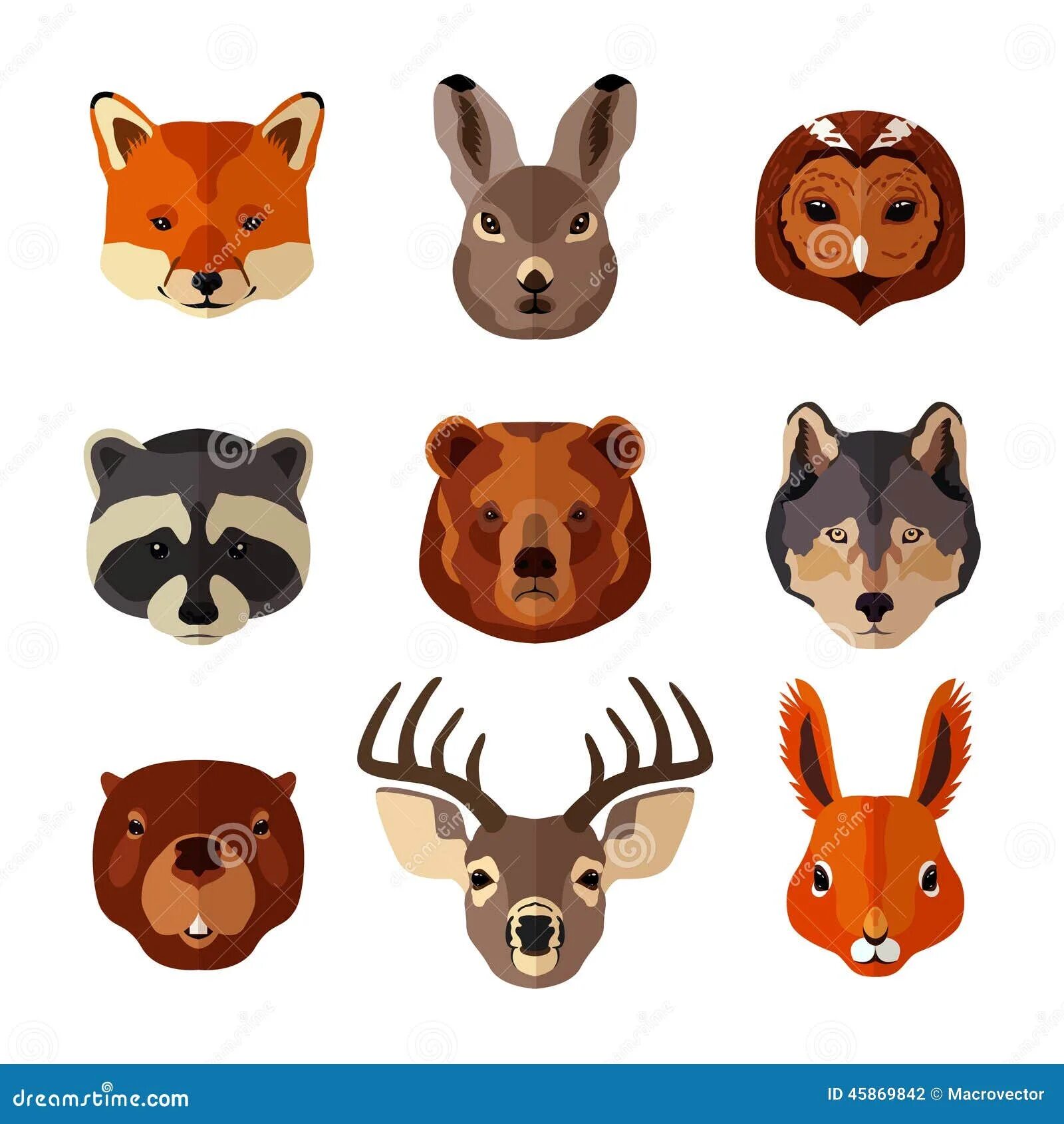 Картинки голов животных Animal Portrait Flat Icon Set Stock Vector - Illustration of design, mammal: 458