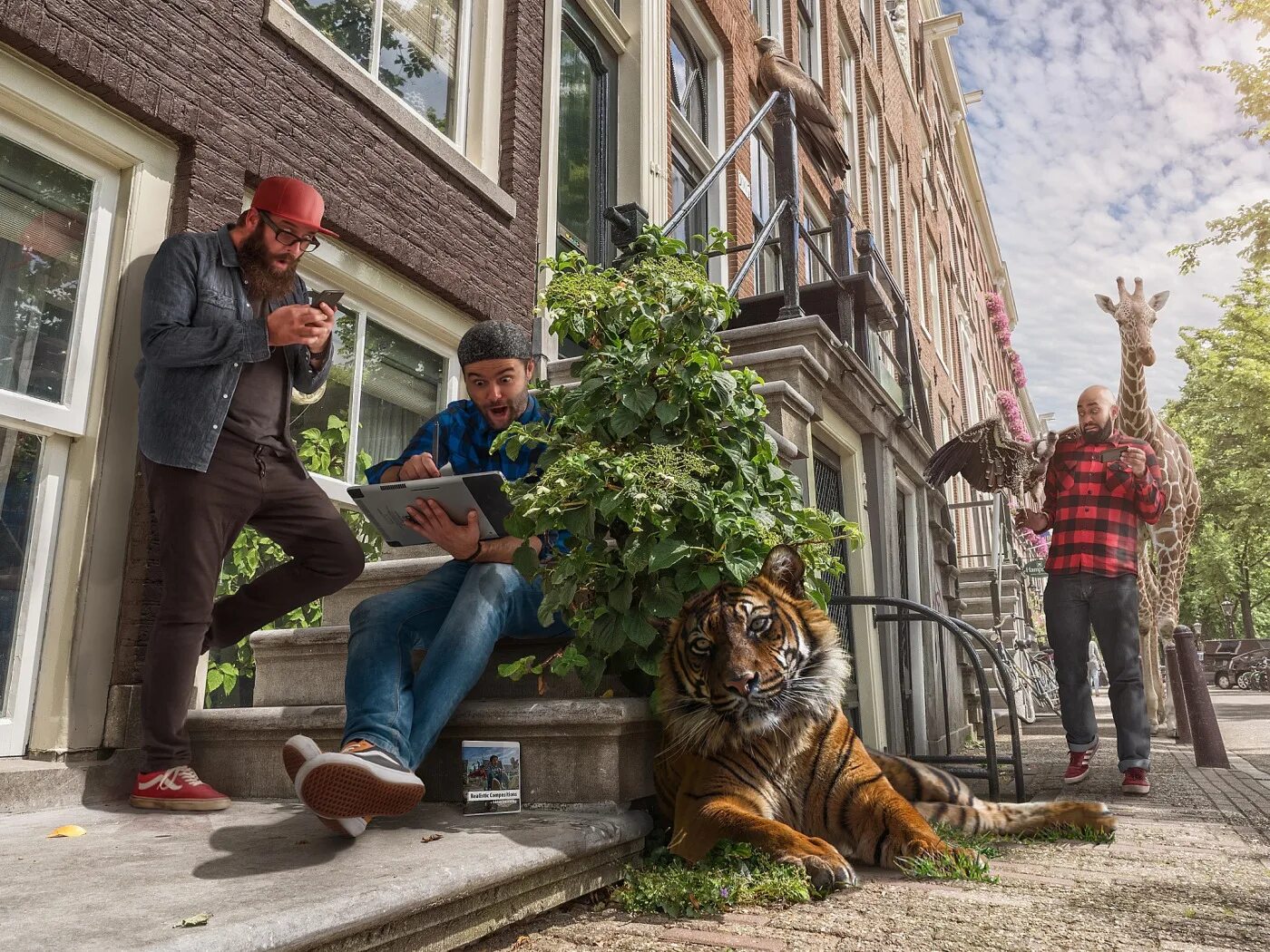 Картинки город животных Download wallpaper birds, the city, tiger, animals, men, section situations in r