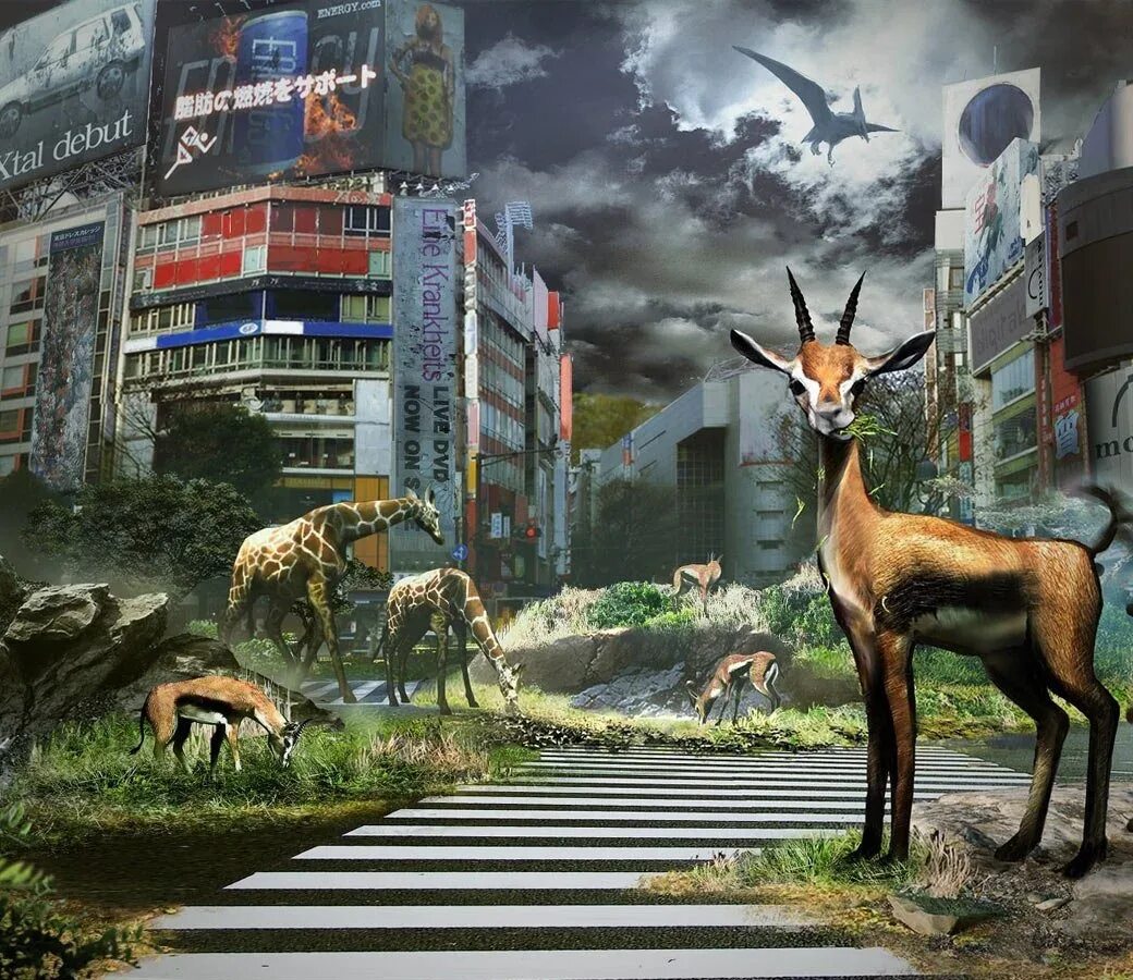 Картинки город животных Рецензия на Tokyo Jungle Канобу