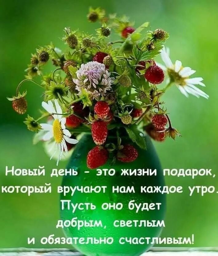 Картинки хорош наступивший день Pin by Лёля Galustyan on Пожелания с добрым утром Words, Good morning