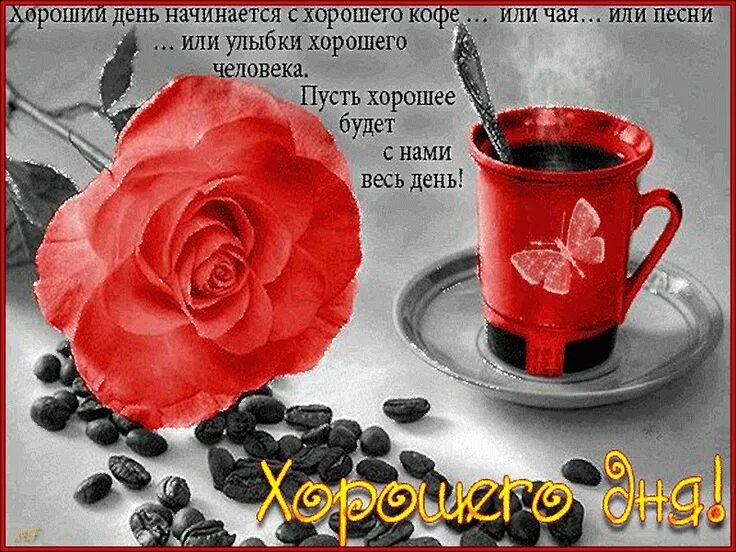 Картинки хорош наступивший день 836.gif (800 × 600) Кофе, Открытки, Картинки
