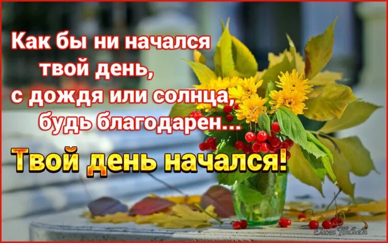 Картинки хорош наступивший день Лента
