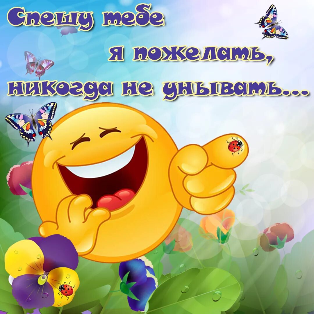 Картинки хорошее настроение на весь день смешные Памятка для педагогов "Антистрессовые приёмы"
