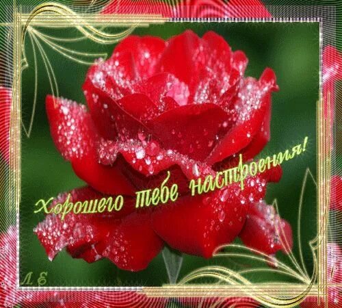 Картинки хорошего дня анимация мерцающие Открытка (плейкаст) "**Хорошего**Тебе**Настроения!