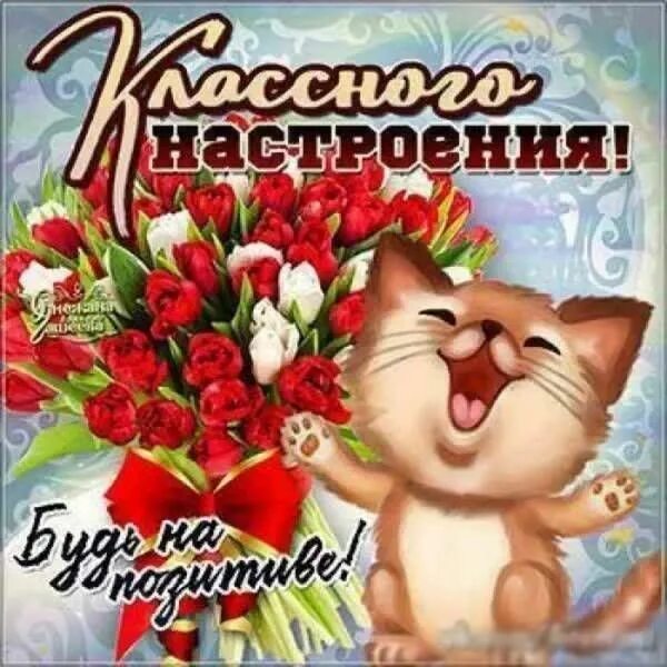 Картинки хорошего дня бесплатно для ватсап Картинки с пожеланиями доброго утра, хорошего дня и настроения Открытки, Доброе 