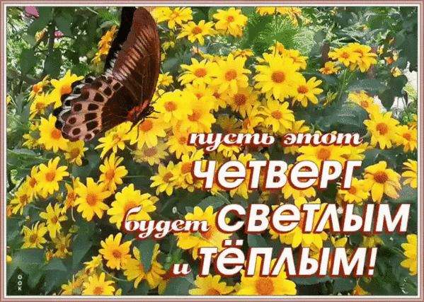 Картинки хорошего дня четверга сентябрь Доброго четверга,друзья... - Просто ДОБРОЕ УТРО , пользователь Любовь Павреева Г