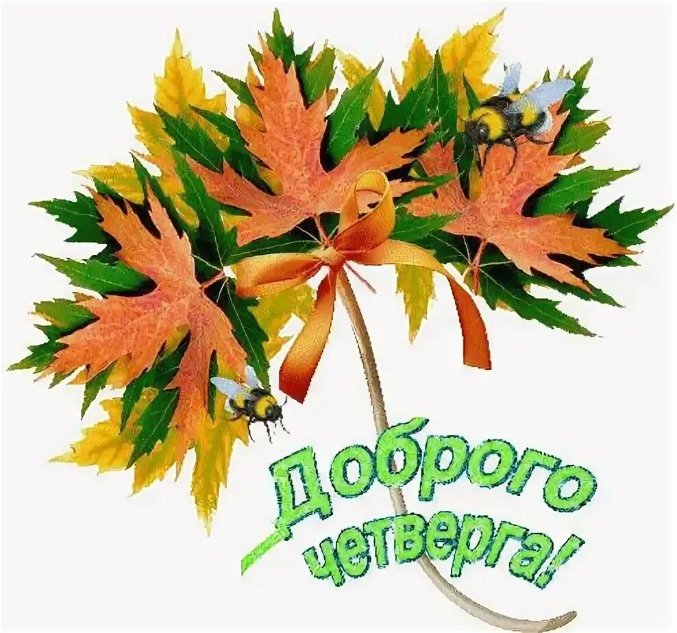 Картинки хорошего дня четверга сентябрь Pin by Світлана Пронська on Швидке збереження Lei necklace