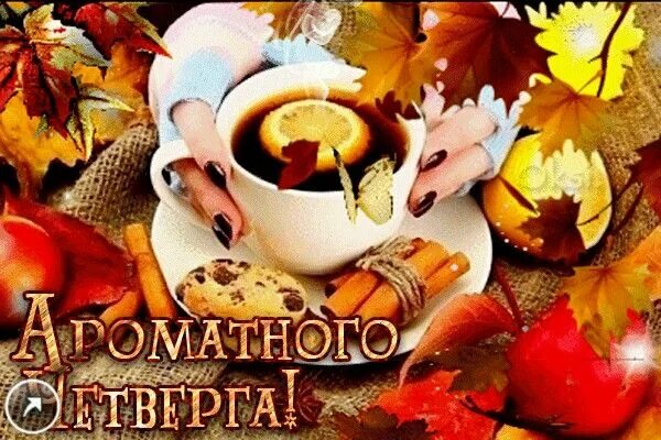 Картинки хорошего дня четверга сентябрь Pin su 29 Ноября