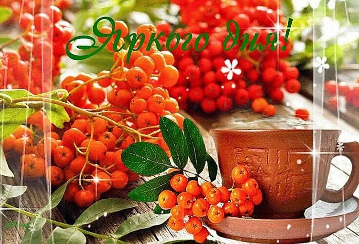 Картинки хорошего дня четверга сентябрь Pin von Evgenia Pustovit auf ДОБРОЕ УТРО! Herbst