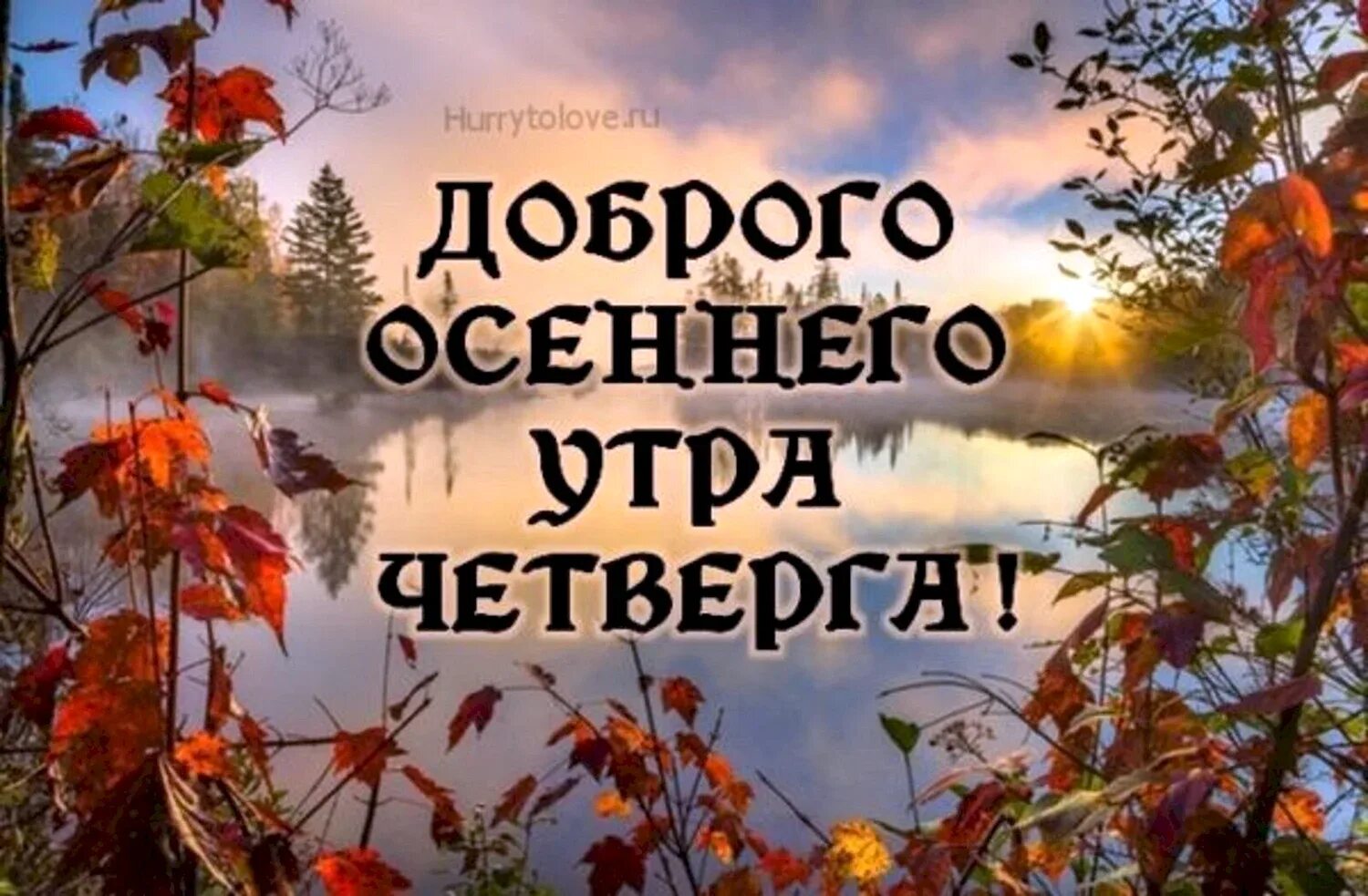 Картинки хорошего дня четверга сентябрь Доброе утро осень четверг - Доброе утро четверг осень (69 лучших фото) . fotoman