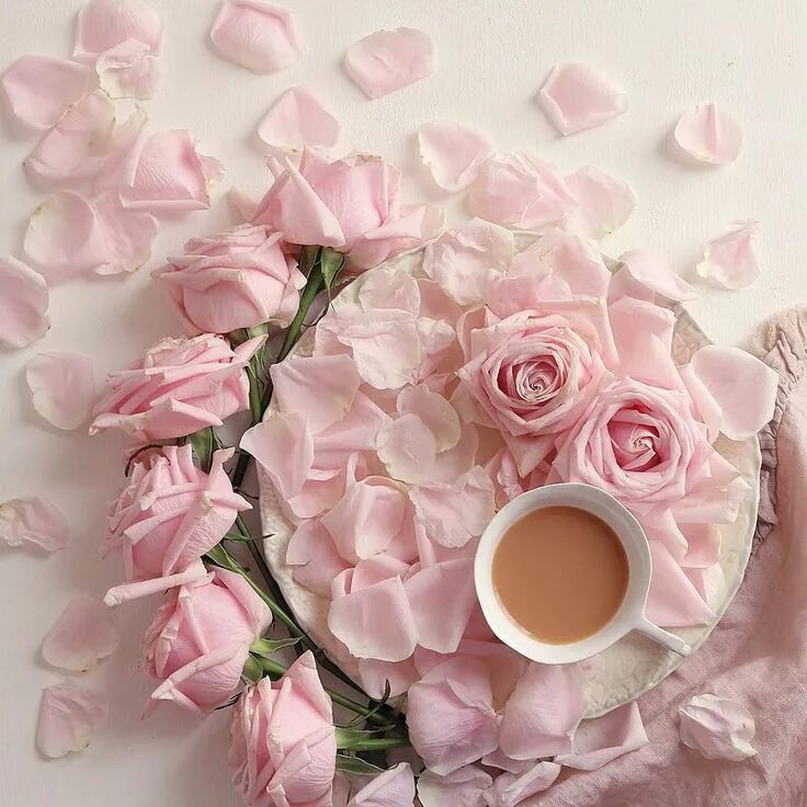 Картинки хорошего дня девушке нежные Pin on Tea Time ⌚ Teacup flowers, Beautiful rose flowers, Pink tea