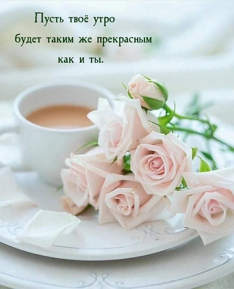 Картинки хорошего дня девушке нежные Доброе утро, пусть день будет наполнен радостными событиями! 2024 Новости 3 ВКон