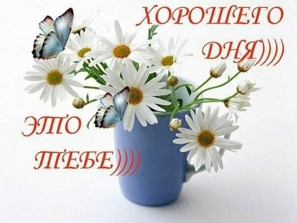 Картинки хорошего дня дочь Пин от пользователя Таня я на доске Счастливые картинки Счастливые картинки, Кар