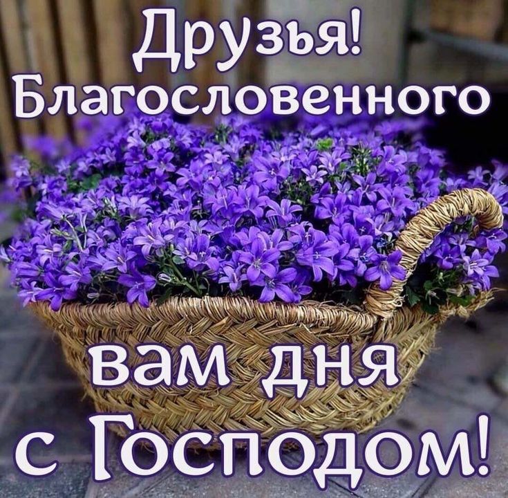 Картинки хорошего дня и благословений Пин на доске Христианские цитаты