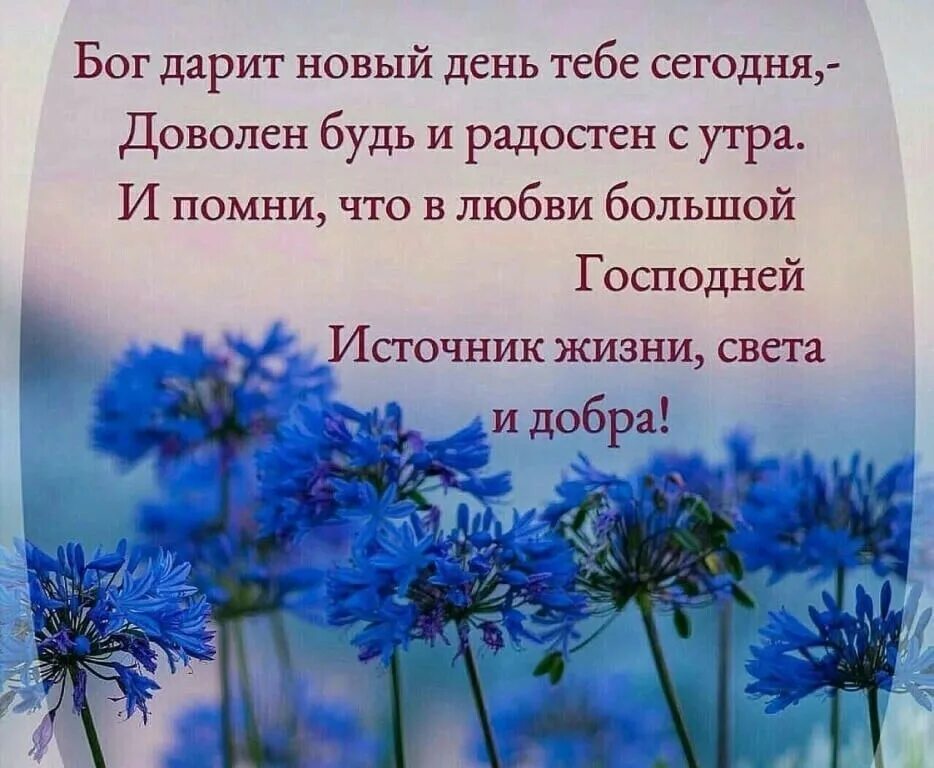 Картинки хорошего дня и благословений Мысли Феофана Затворника : (1 Кор. 4, 5–8; Мф. 13, 44–54). Прибывши в Назарет. Ц