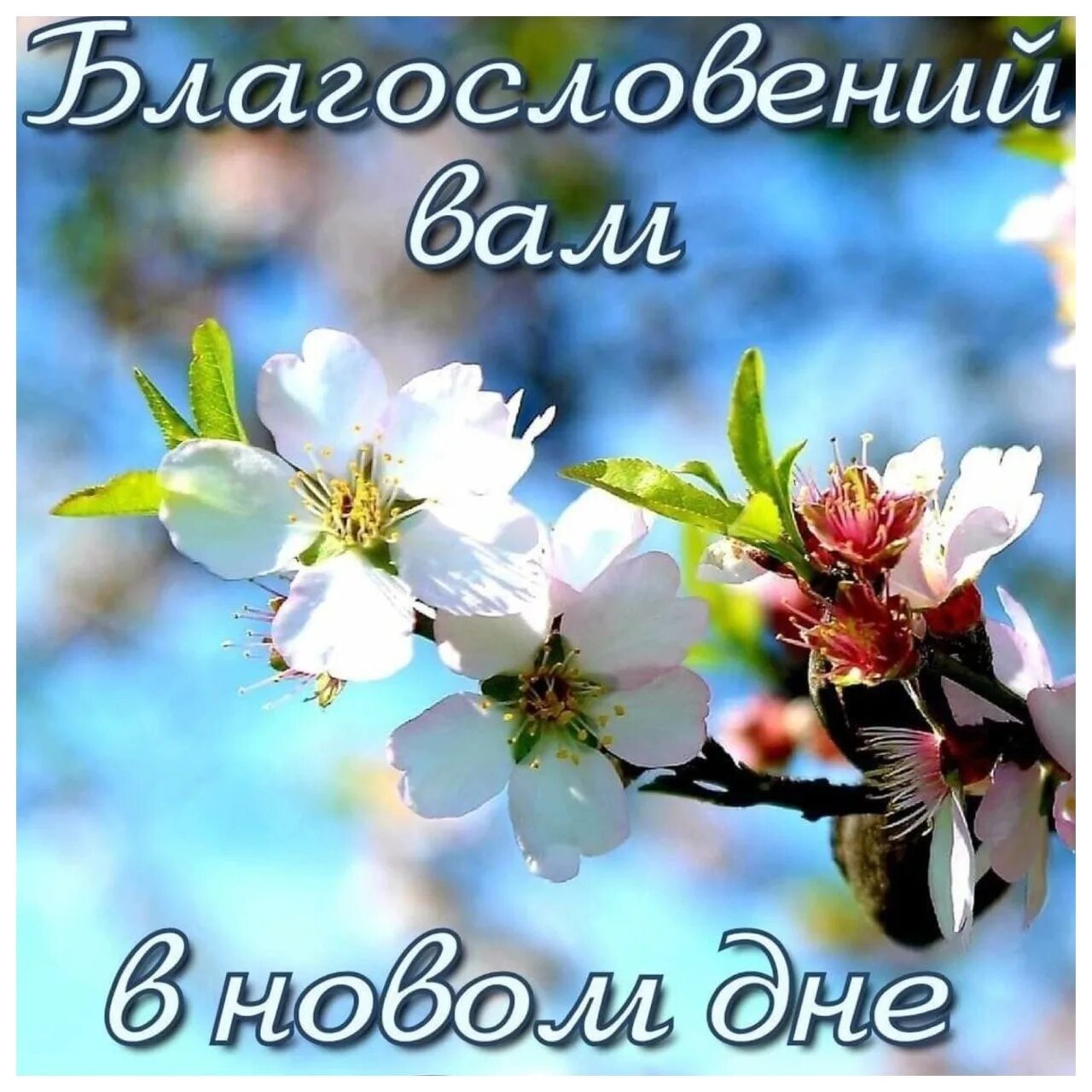 Картинки хорошего дня и благословений Bring spring to your soul And let the winter wear off, Let there be snow around,