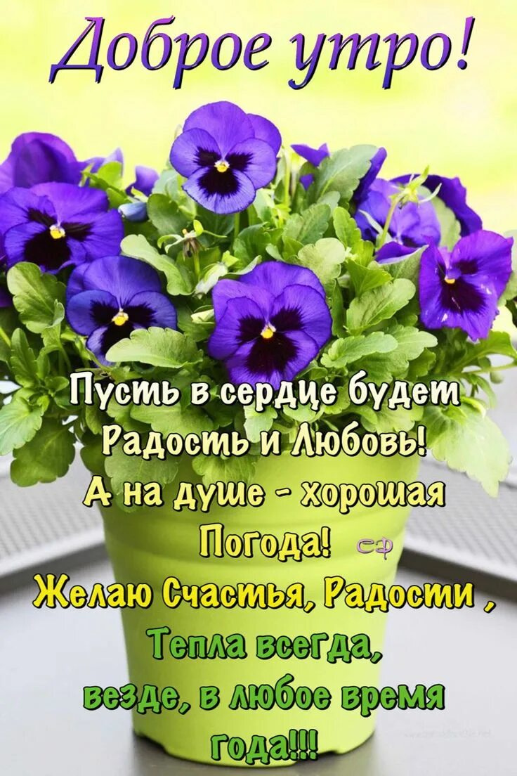 Картинки хорошего дня и благословений Пин от пользователя Ніна Ніна на доске Добре утро Доброе утро, Утренние цитаты, 