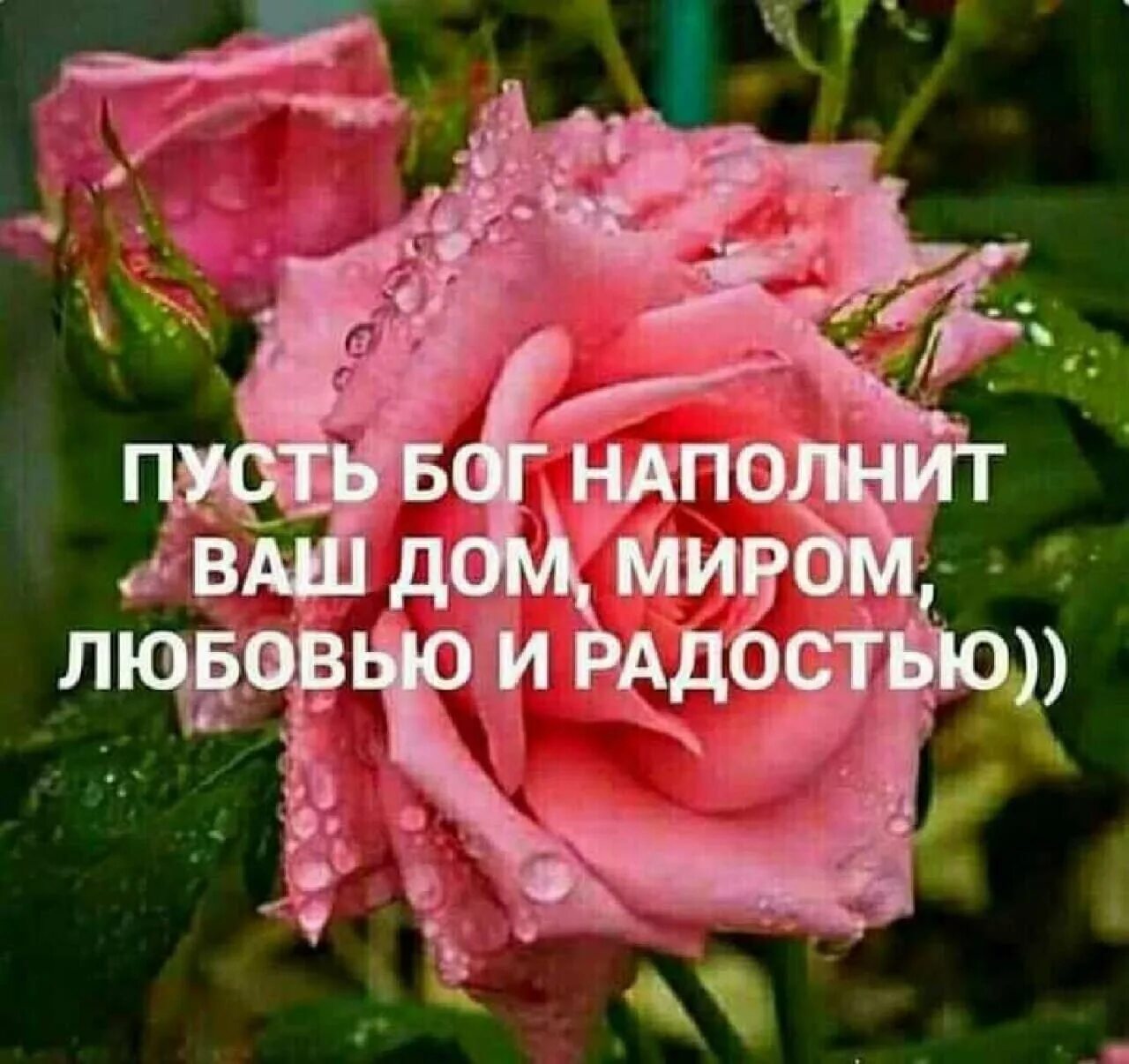 Картинки хорошего дня и благословений Хорошего дня с богом - 74 фото