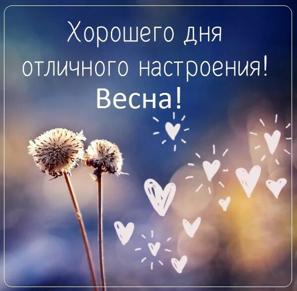 Картинки хорошего дня и настроения мудрые Доброе утро!!! - Чашка кофе, пользователь Ольга Плесовских Группы Мой Мир