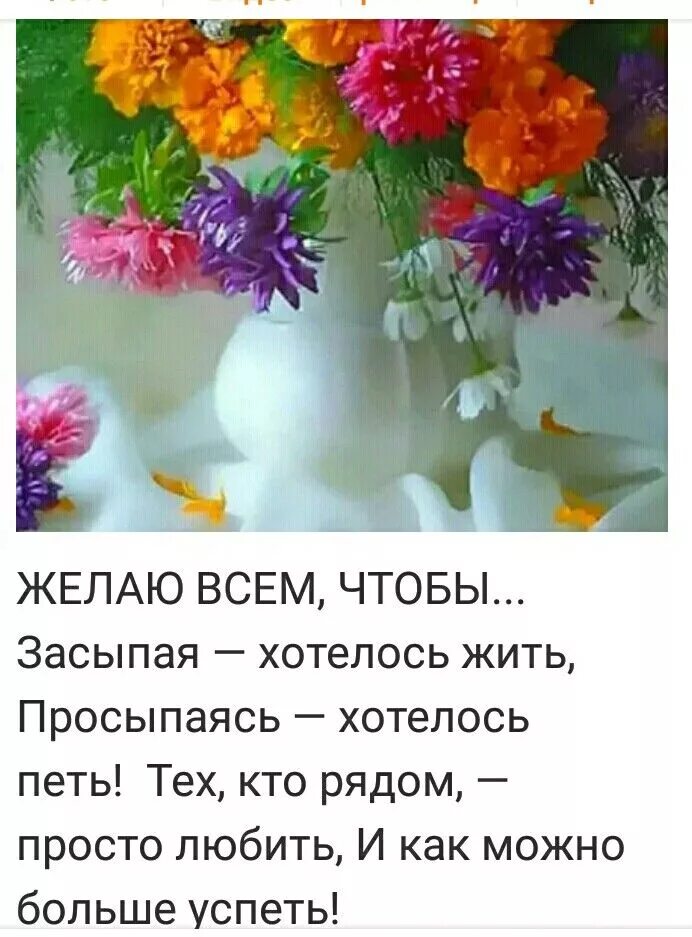 Картинки хорошего дня и настроения мудрые Пин от пользователя Galina на доске Веселье Позитивные мысли, Веселые открытки, 