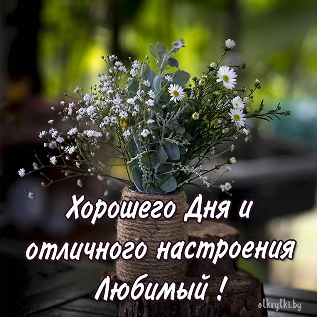 Картинки хорошего дня и настроения мужчине любимому Хорошего дня любимый - marmarasinerji.com