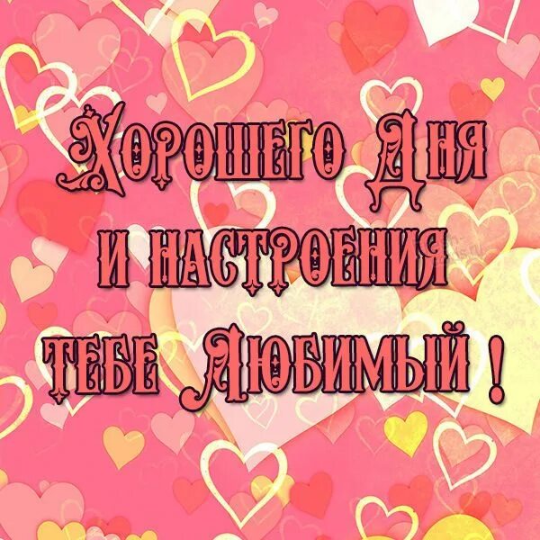 Картинки хорошего дня и настроения мужчине любимому Пожелание хорошего дня любимому мужчине в прозе Divertente