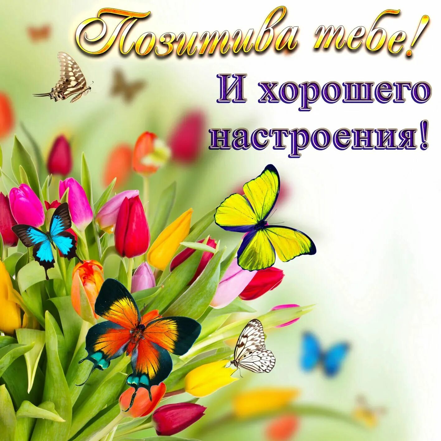 Картинки хорошего дня и настроения новинка Картинки хорошего дня и настроения красивые новые
