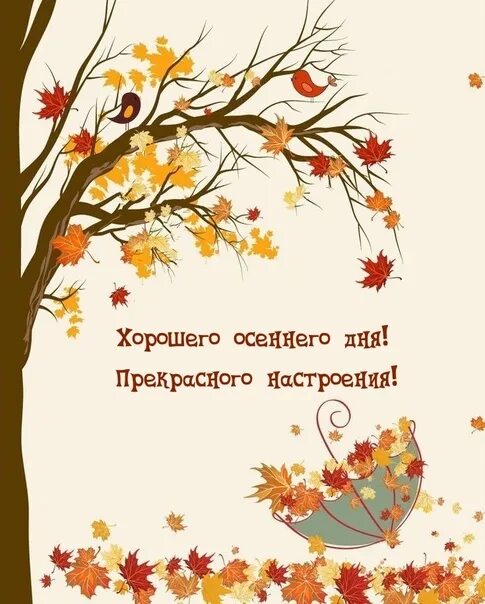 Картинки хорошего дня и настроения осенние позитивные Самого замечательного, приятно- волнующего и доброго Вам дня! 2022 Любимый город