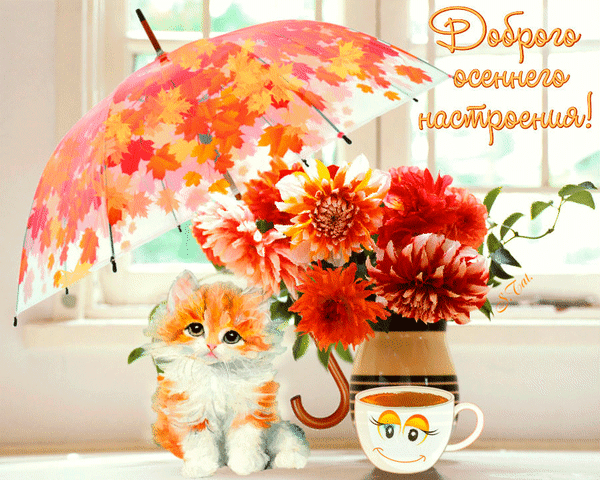 Картинки хорошего дня и настроения осенние позитивные Фото@Mail.Ru: : Доброе утро и Добрый вечер!