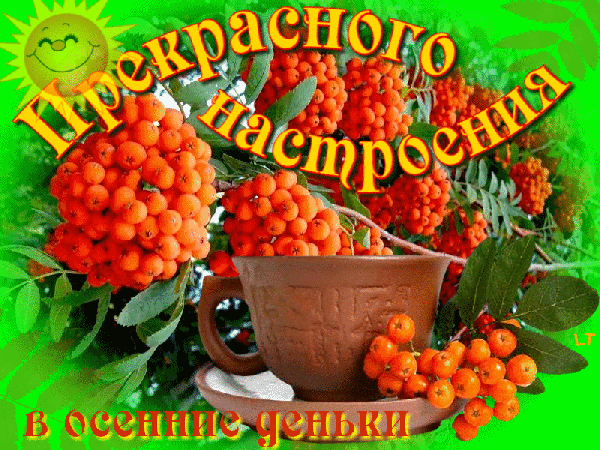 Картинки хорошего дня и настроения осенние позитивные Народные приметы на 23 сентября! Петр и Павел Рябинники! - Прочее