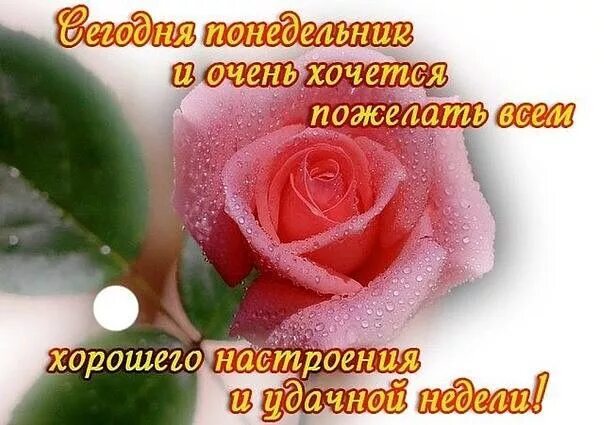 Картинки хорошего дня и настроения понедельника Пин от пользователя Ольга Брюс на доске Открытки Открытки, Понедельники, Доброе 