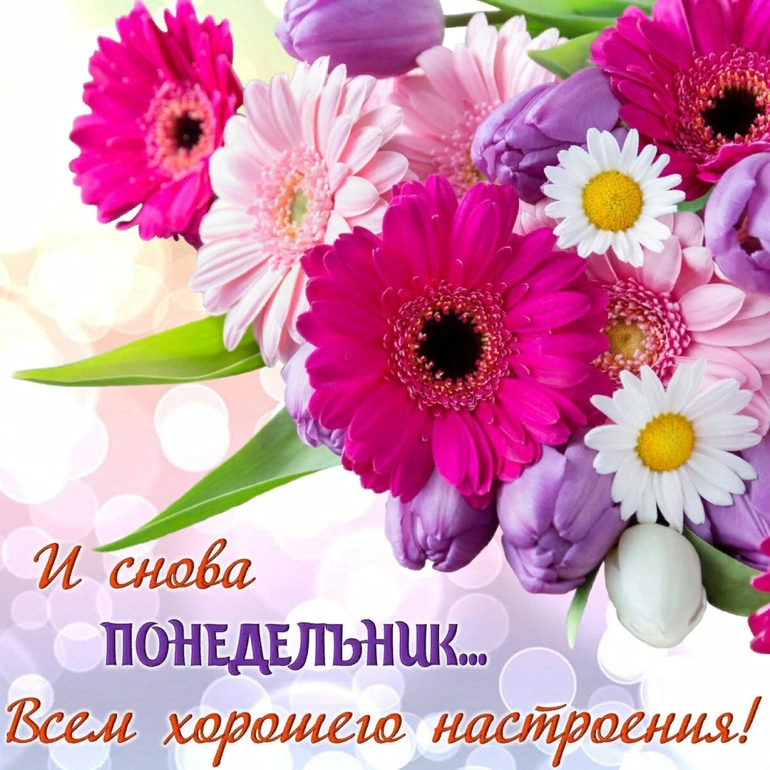 Картинки хорошего дня и настроения понедельника ❀ ♔ Самая Обаятельная и Привлекательная ♔ ❀ - Фото OK.RU Montreal botanical gard