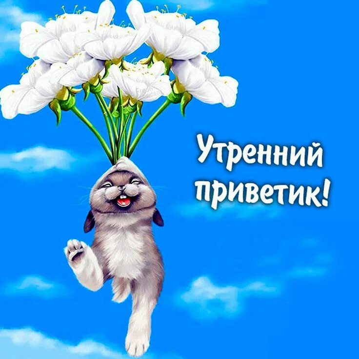 Картинки хорошего дня и настроения прикольные позитивные Открытки с утренним приветиком Веселые картинки, Картинки, Открытки