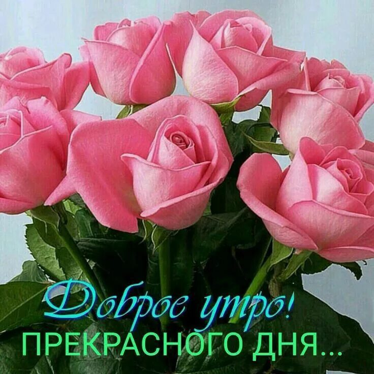 Картинки хорошего дня и настроения розы Пин от пользователя Марина Болдырева на доске доброе утро Доброе утро, Радужные 
