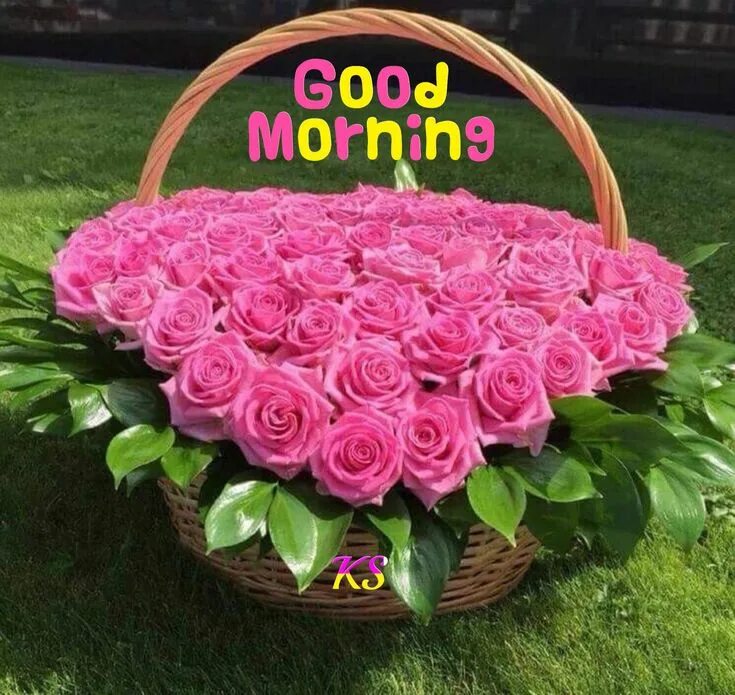 Картинки хорошего дня и настроения розы Pin en Good morning Arreglos florales, Cestas de flores, Flores