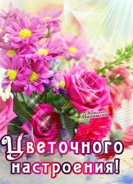 Картинки хорошего дня и настроения розы Открытка хорошего настроения, улыбайся, розы, цветы, пожелание отличного настрое