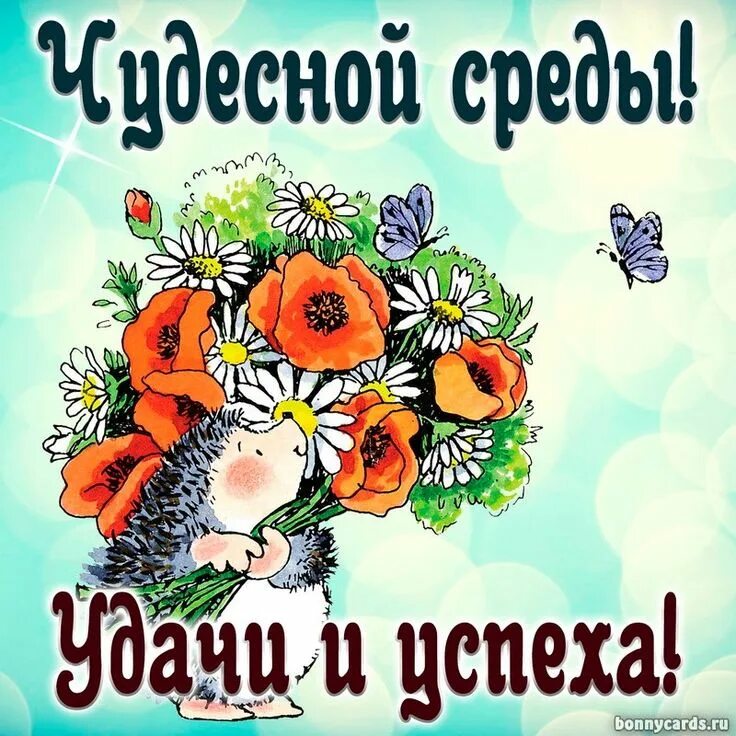 Картинки хорошего дня и настроения среды ТЕБЕ ОТКРЫТОЧКА!!!!! ВКонтакте Доброе утро