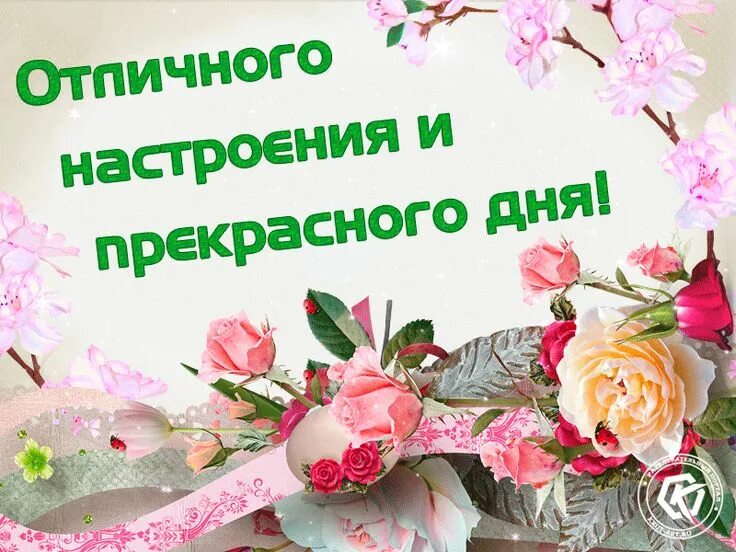 Картинки хорошего дня и настроения женщине Отличного настроения и прекрасного дня