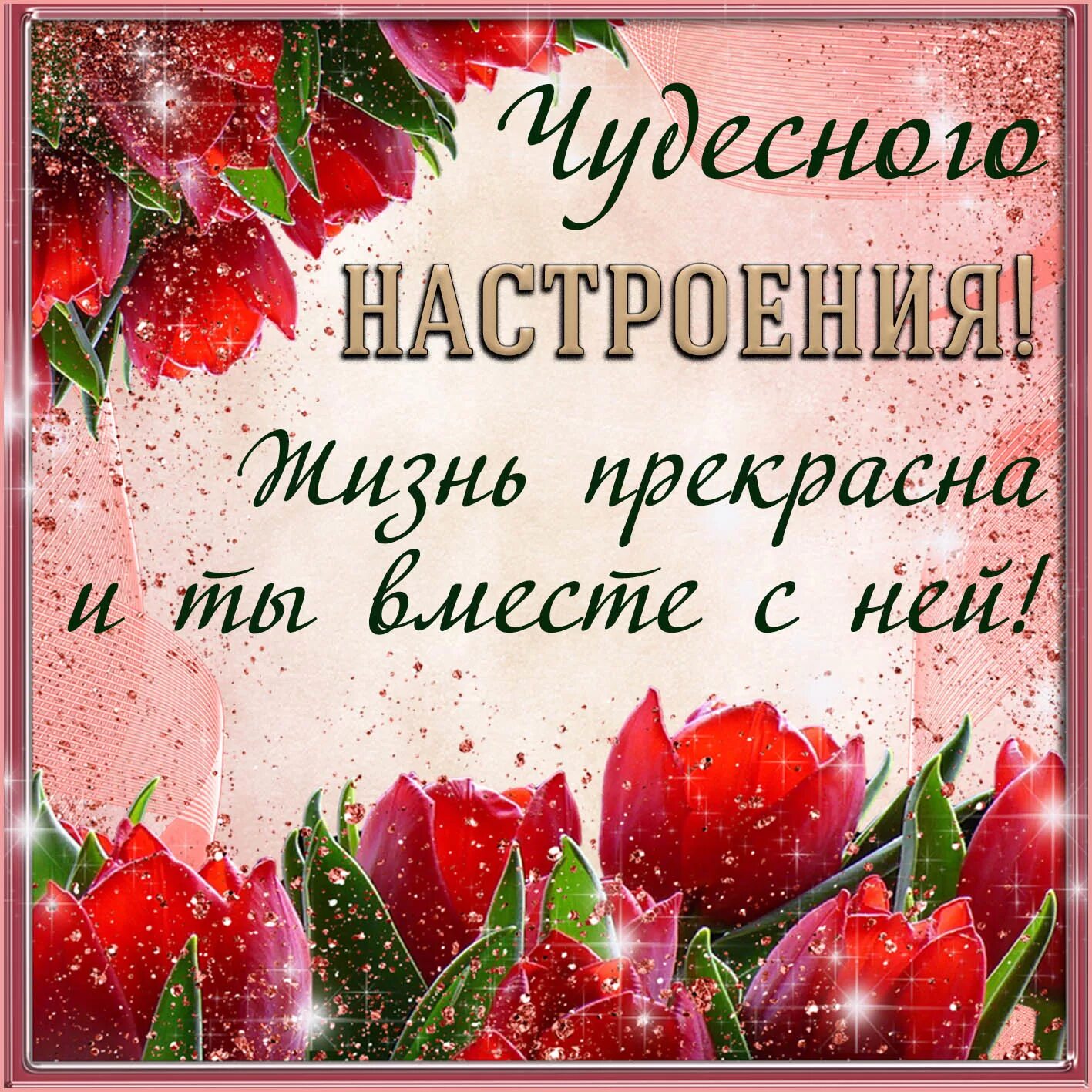 Картинки хорошего дня и настроения женщине Открытка - пожелание чудесного настроения на фоне тюльпанов